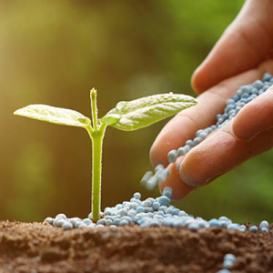 FERTILIZERS